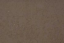 Kurkvloer - Beethoven Greige - 4mm