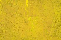 Kurkvloer - Beethoven Limoen - 4mm