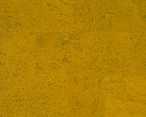 Klik Kurkvloer - Bach Citroen 10mm