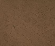 Klik Kurkvloer - Chopin Buffel 10mm