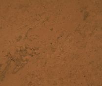 Klik Kurkvloer - Chopin Duet 10mm