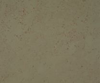 Klik Kurkvloer - Chopin Frivool 10mm