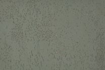 Wandkurk - Beethoven Frivool 3mm