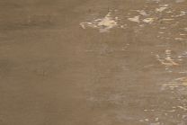 Ceratouch Nuovo 0785C