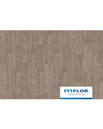 mFLOR Argyll Fir Greyfrairs