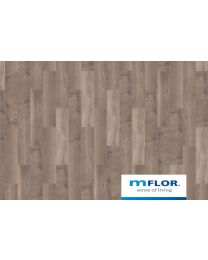 mFLOR Broad Leaf Smoky Sycamore