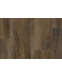 R-55 Acoustic Madina Taupe
