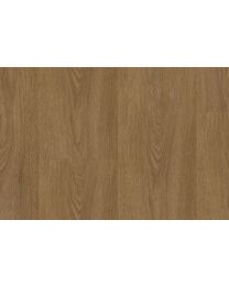 Virtuo Rigid 30 Blomma Brown