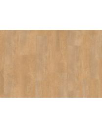 Creation 55 Rigid Acoustic Jive Blond